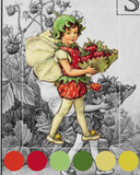 The Strawberry Fairy Self Striping Sock Set