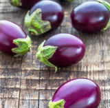 Aubergine