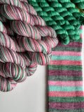 Silly Goose Self Striping Yarn Sock Set