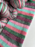 Silly Goose Self Striping Yarn Sock Set