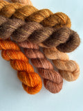 100% nsw Shetland Mini Skein Sets