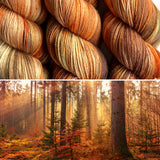 Autumn Rays Superfine Merino