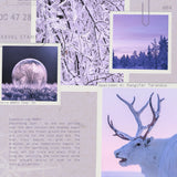 Yarn Forward Lapland Advent Box 10g x 24