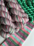 Silly Goose Self Striping Yarn Sock Set