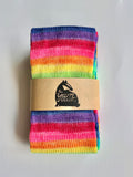 100g Sock Tube: Rainbow 10 BFL/nylon